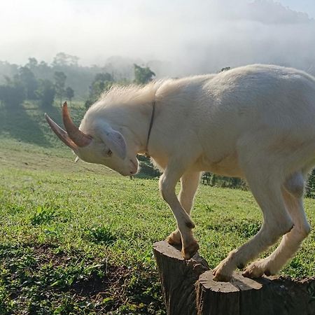 ไร่นิธิสุนทร Nithisoonthon Farmstay Мае Хонг Сон Екстериор снимка