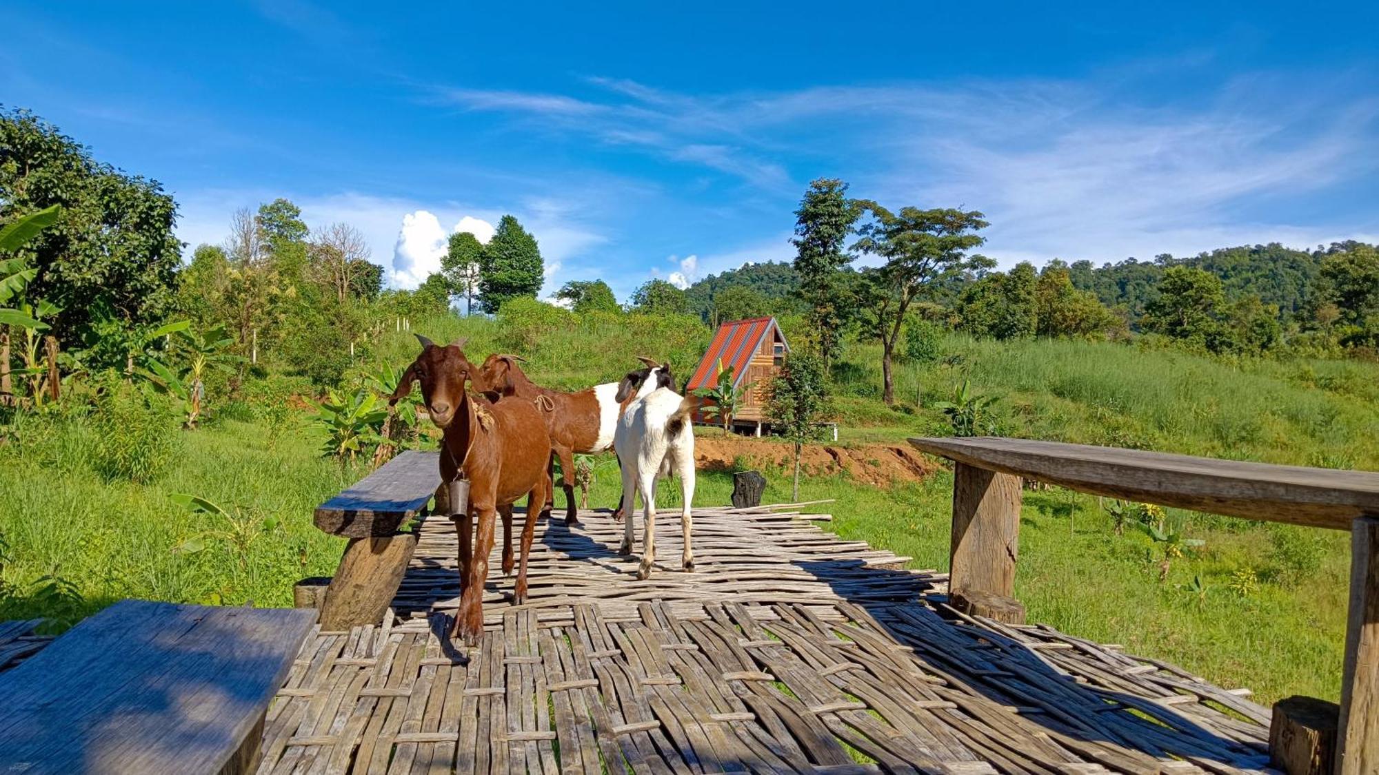 ไร่นิธิสุนทร Nithisoonthon Farmstay Мае Хонг Сон Екстериор снимка