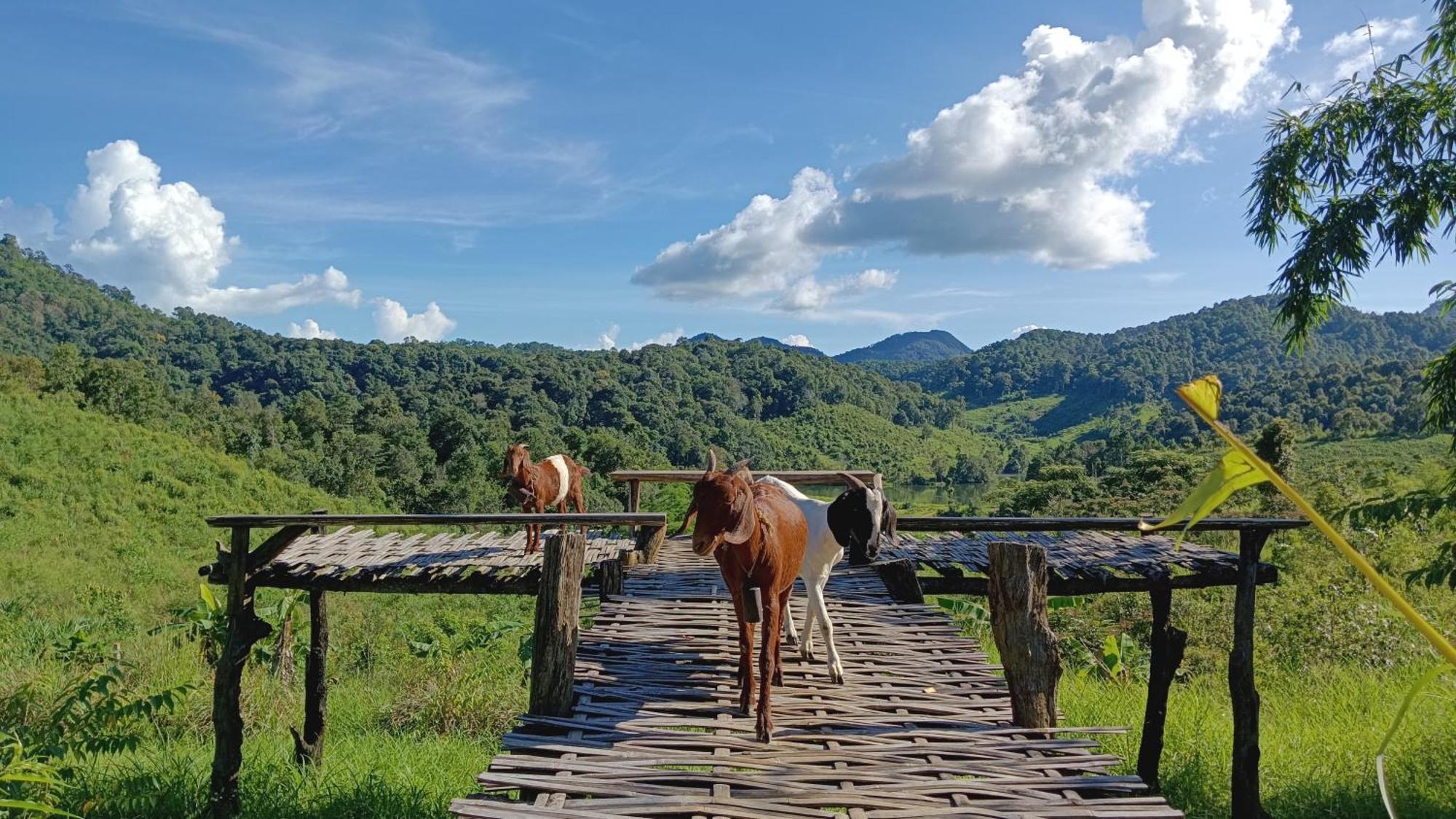 ไร่นิธิสุนทร Nithisoonthon Farmstay Мае Хонг Сон Екстериор снимка