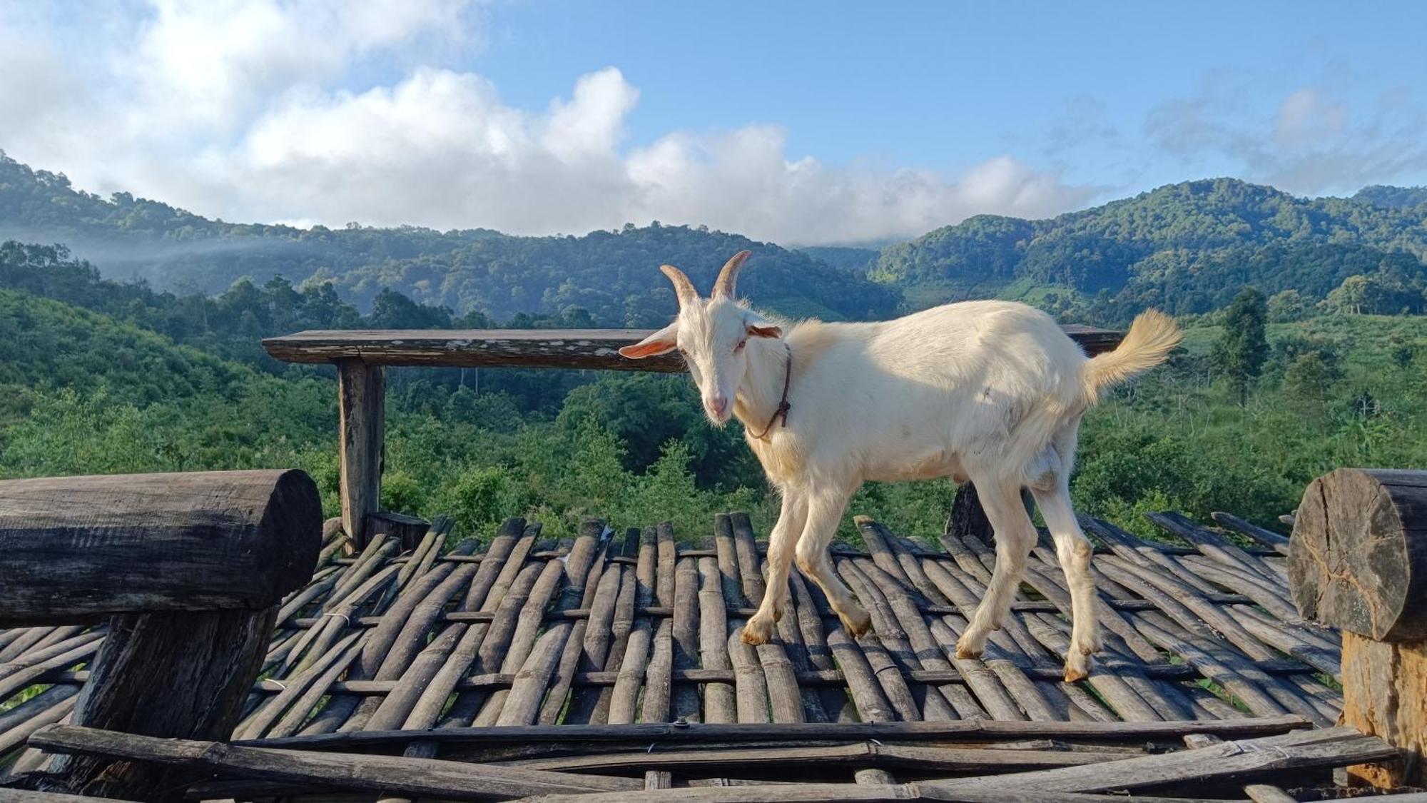 ไร่นิธิสุนทร Nithisoonthon Farmstay Мае Хонг Сон Екстериор снимка