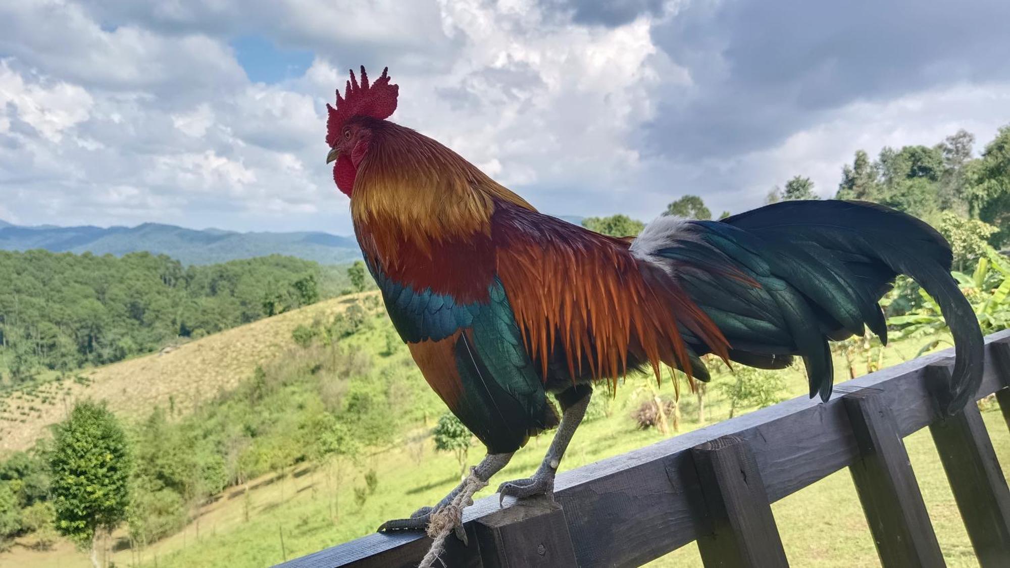 ไร่นิธิสุนทร Nithisoonthon Farmstay Мае Хонг Сон Екстериор снимка