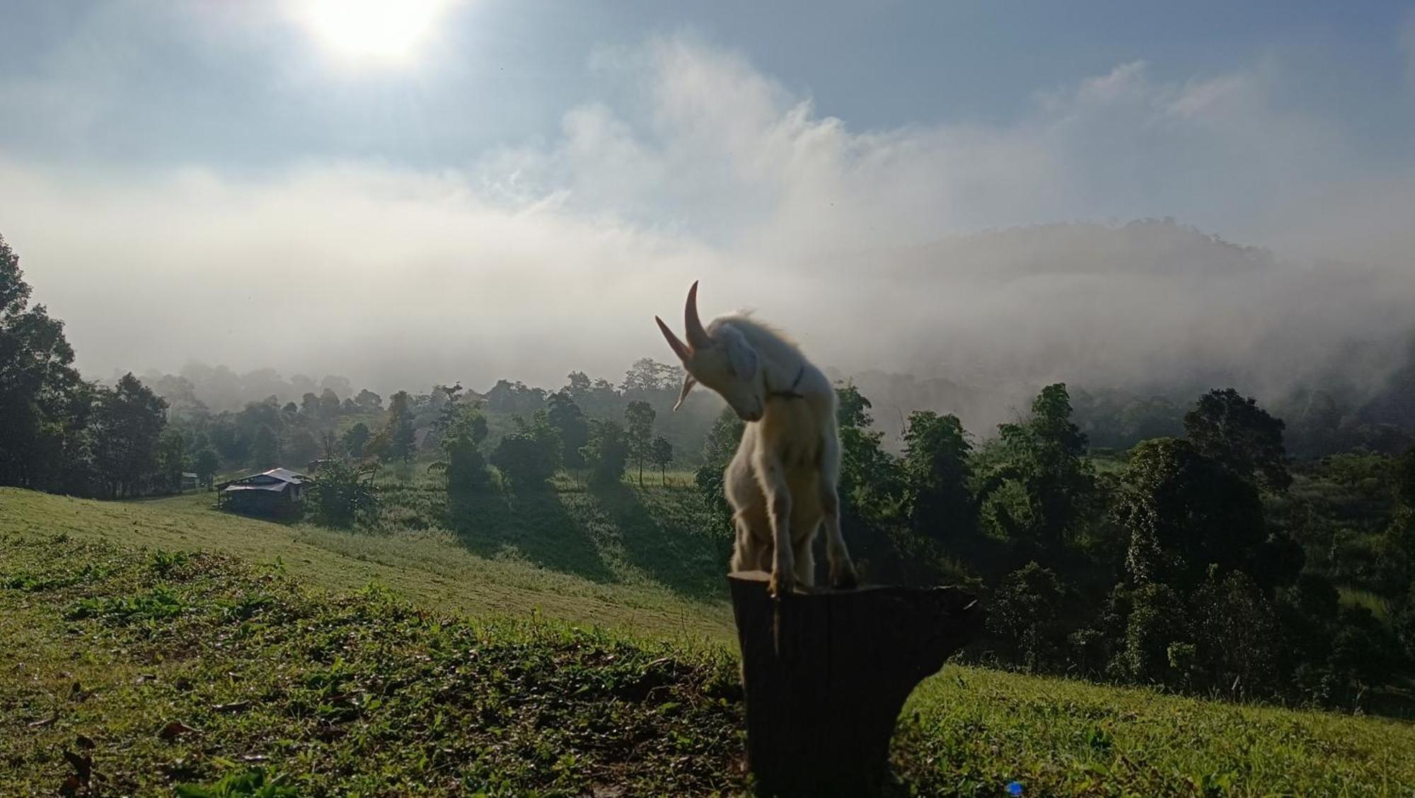 ไร่นิธิสุนทร Nithisoonthon Farmstay Мае Хонг Сон Екстериор снимка