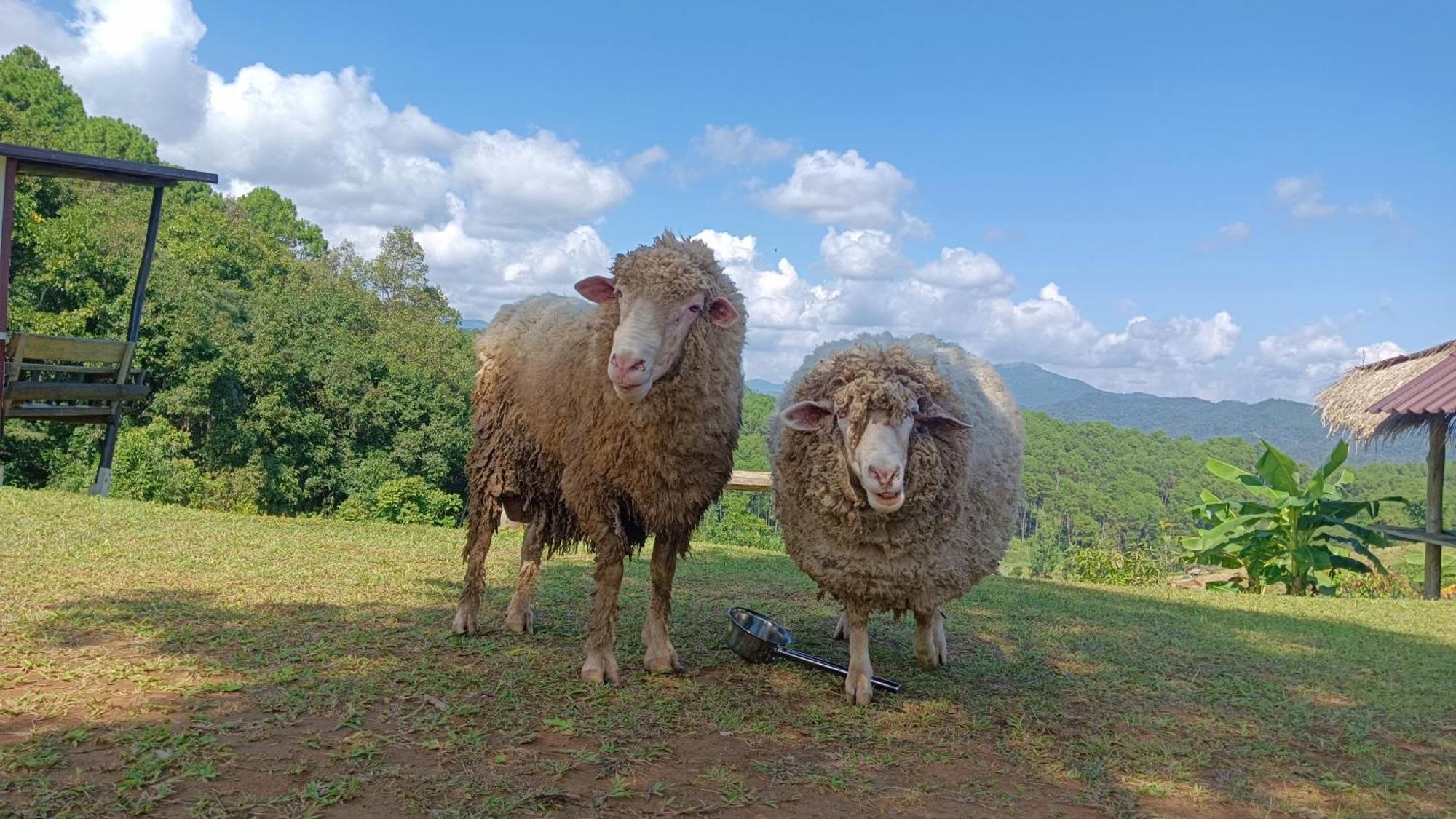 ไร่นิธิสุนทร Nithisoonthon Farmstay Мае Хонг Сон Екстериор снимка